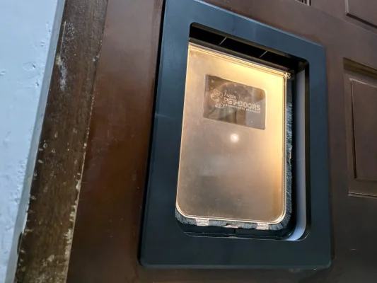 黑色框架的貓門與木質門板完美結合