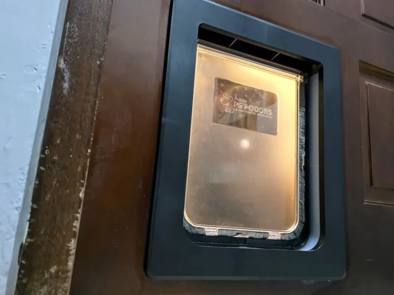 黑色框架的貓門與木質門板完美結合