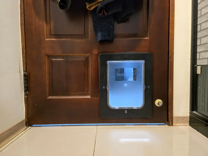 雙向通行的寵物貓門外觀展示