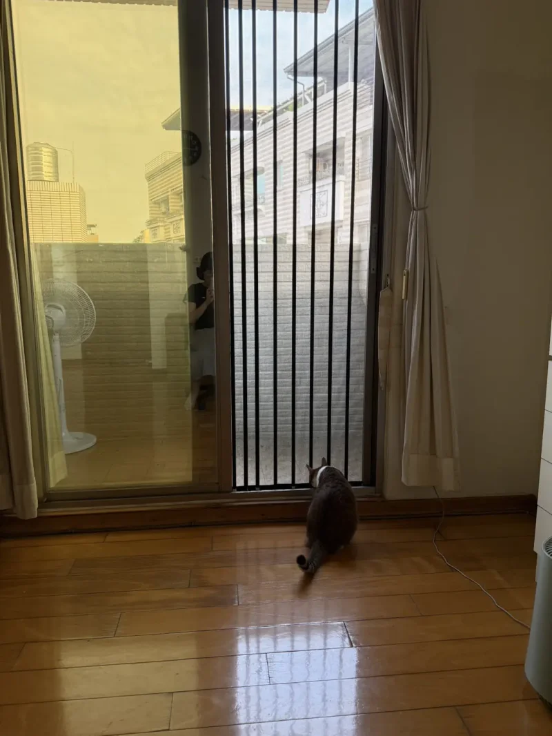 臥室門通風改造：金屬摺疊紗門讓空氣流通，貓咪乖乖待著