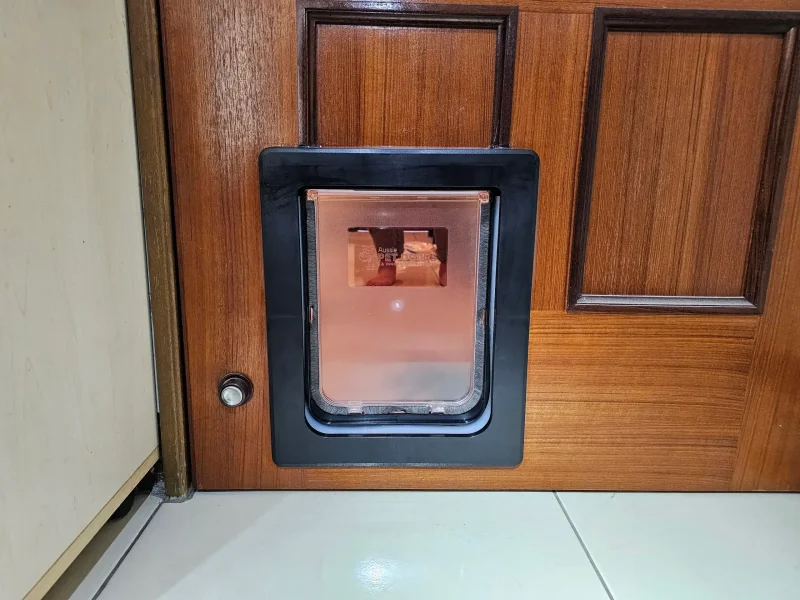 室內視角看木門貓門外觀