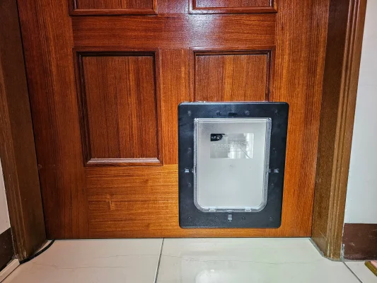 房間木門貓門安裝完成照