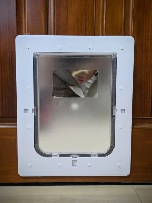 房間門貓門完成實拍