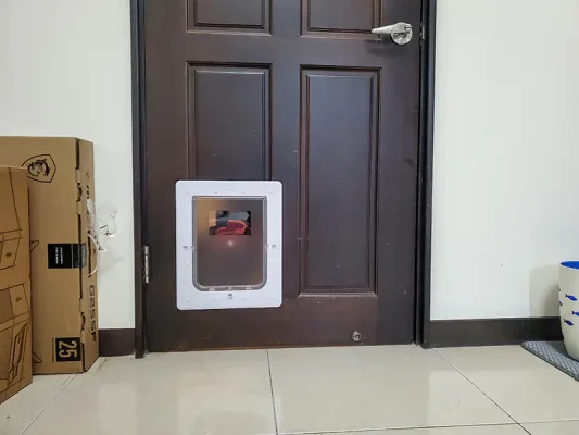 貓門一裝，人生輕鬆：貓奴必懂的小改造