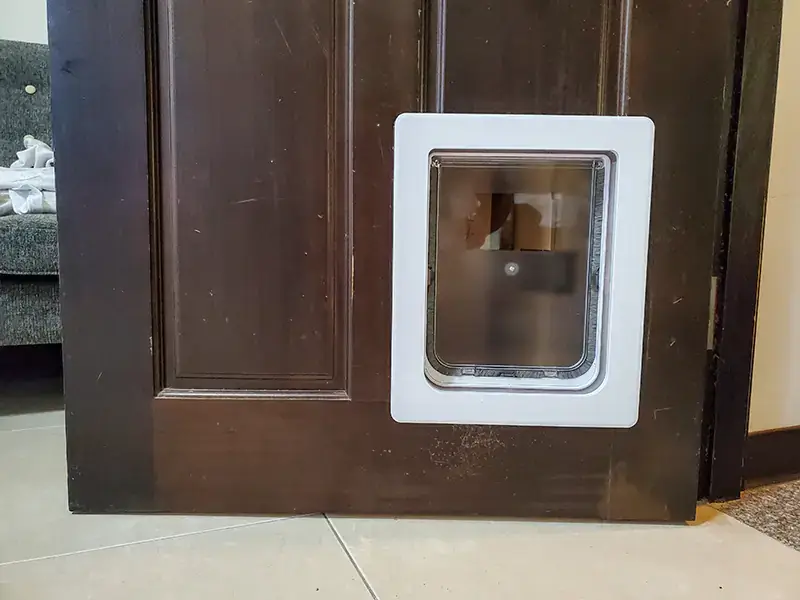 貓門其實是給人用的?貓奴才懂的好處