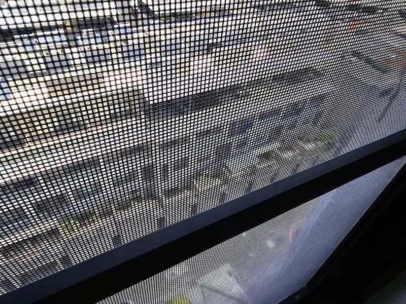 高樓層貓咪家庭的安心選擇:日本NBC寵愛網