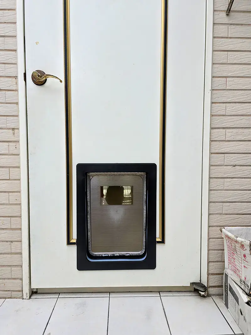 挑選適合中型犬的鐵門專用狗門:安全與美觀兼具