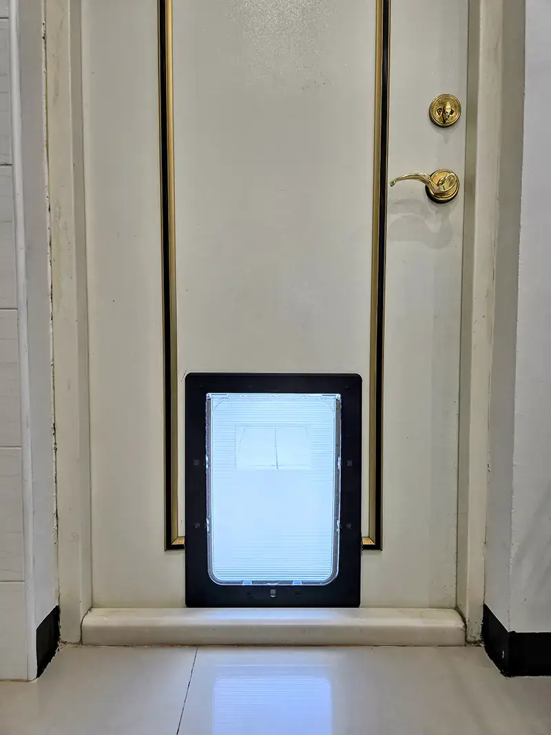 陽光與那扇為狗狗而開的門