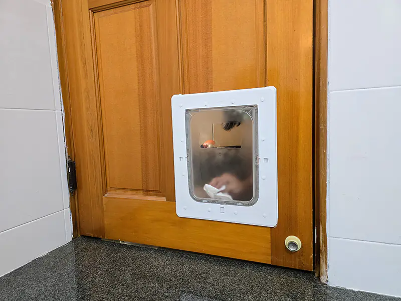 溫馨木門上可愛貓門安裝完成