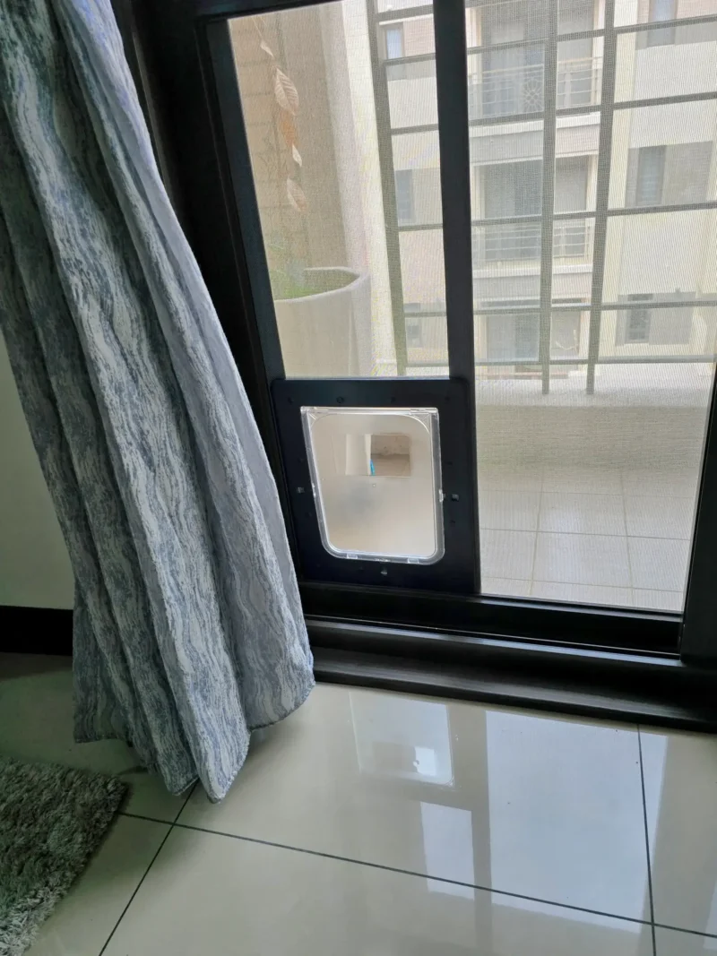 完工後的貓門與室內光線效果