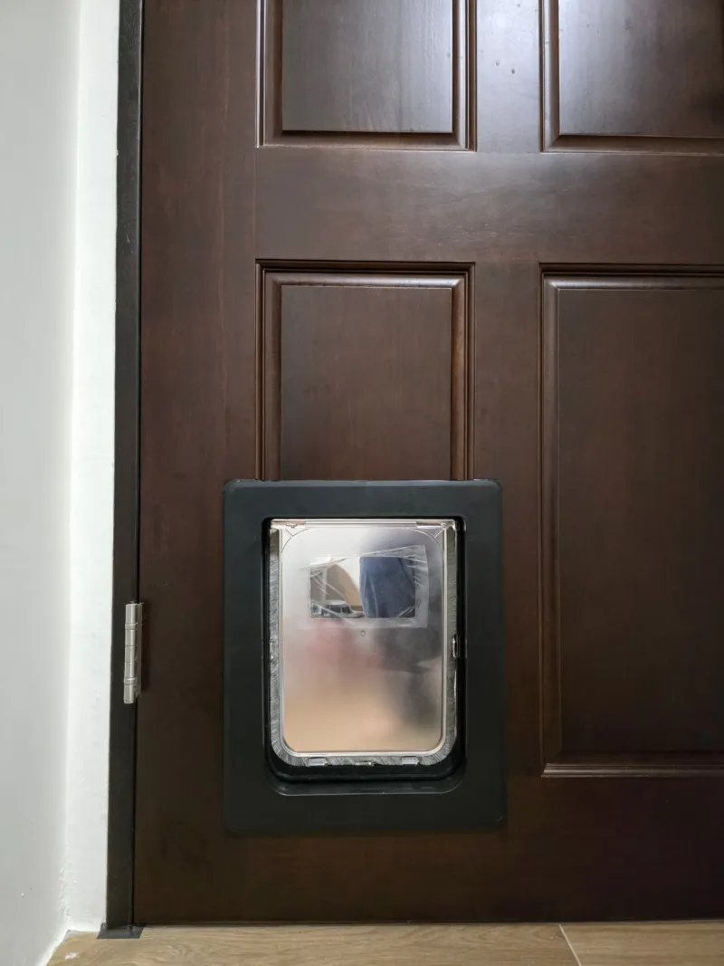 木質門板與新款貓門色彩融合