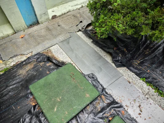 幼兒園防蚊再升級！校園水溝蓋防護持續補強