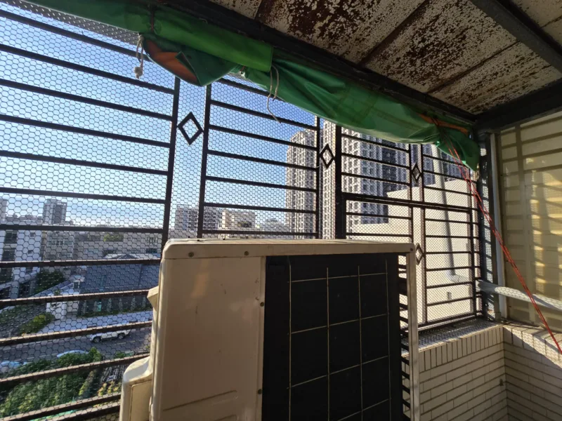 完成萬能網防墜工程後的貓咪安全活動空間